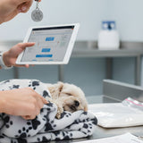 Chain of Custody in Pet Aftercare: Tags, Logs, Tracking & Transparency (What to Ask For)