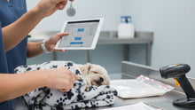 Chain of Custody in Pet Aftercare: Tags, Logs, Tracking & Transparency (What to Ask For)