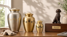 Choosing the Right Pet Urn Size Starts with Love and Understanding