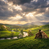 Christian Views on Pets in Heaven: What Pastors, Theologians, and Ordinary Believers Say - Funeral.com, Inc.