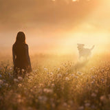 Christianity and Pets: Will I See Fido in Heaven? - Funeral.com, Inc.