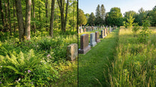 Conservation Cemeteries vs. Hybrid Cemeteries: What’s the Difference? - Funeral.com, Inc.