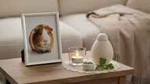 Coping When Your Guinea Pig Died — Why It Hurts So Much, and How to Heal - Funeral.com, Inc.