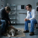 Coping with the Diagnosis: When the Vet Says "There's Nothing More We Can Do" - Funeral.com, Inc.