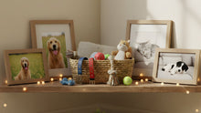 Creating a Pet Shrine at Home: Collars, Toys, Photos, and Keeping It Comforting (Not Overwhelming) - Funeral.com, Inc.
