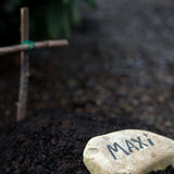 Creating a Small Family Pet Cemetery on Private Land: Rules, Records, and Respect - Funeral.com, Inc.