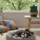 Creative and Loving Ideas for Dog Ashes to Honor Your Pet