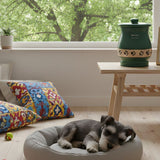 Creative and Loving Ideas for Dog Ashes to Honor Your Pet