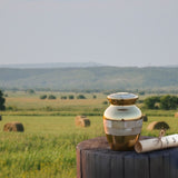 Cremation Cost in Nebraska (2026): Price Breakdown & FAQs