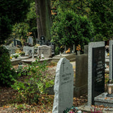Cremation vs Traditional Burial: Pros, Cons, Costs, and Family Considerations