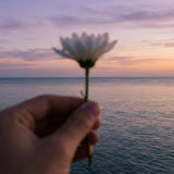 Death Anniversary Ideas: How to Plan a Meaningful Annual Memorial Service (Without It Feeling Overwhelming) - Funeral.com, Inc.