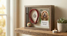 DIY Shadow Boxes: How to Preserve Collars, Tags, and Toys - Funeral.com, Inc.