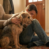 Do Dogs Grieve? Recognizing Depression in Surviving Pets