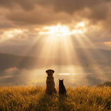Do Pets Go to Heaven? How Different Religions and Traditions Answer the Question