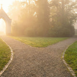 Does Cremation Happen Before or After the Funeral? A Clear Timeline (Plus Common Exceptions)