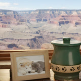 Dog & Cat Cremation Cost in Arizona (2026): Prices, Options, and What to Expect - Funeral.com, Inc.