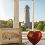 Dog & Cat Cremation Cost in Delaware (2026): Prices, Options & What to Expect - Funeral.com, Inc.