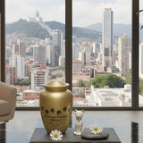 Dog & Cat Cremation Cost in District of Columbia (2026): Prices, Options & What to Expect