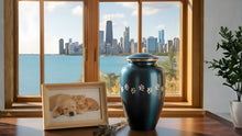Dog & Cat Cremation Cost in Illinois (2026): Prices, Options & What to Expect - Funeral.com, Inc.