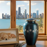 Dog & Cat Cremation Cost in Illinois (2026): Prices, Options & What to Expect - Funeral.com, Inc.