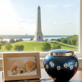 Dog & Cat Cremation Cost in Iowa (2026): Prices, Options & What to Expect - Funeral.com, Inc.