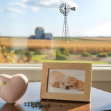 Dog & Cat Cremation Cost in Kansas (2026): Prices, Options & What to Expect - Funeral.com, Inc.