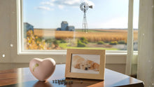 Dog & Cat Cremation Cost in Kansas (2026): Prices, Options & What to Expect - Funeral.com, Inc.