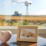 Dog & Cat Cremation Cost in Kansas (2026): Prices, Options & What to Expect