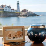 Dog & Cat Cremation Cost in Maine (2026): Prices, Options & What to Expect