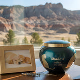 Dog & Cat Cremation Cost in Montana (2026): Prices, Options & What to Expect