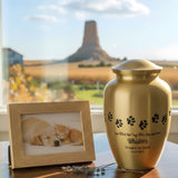 Dog & Cat Cremation Cost in Nebraska (2026): Prices, Options & What to Expect - Funeral.com, Inc.