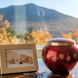 Dog & Cat Cremation Cost in New Hampshire (2026): Prices, Options & What to Expect - Funeral.com, Inc.