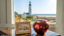 Dog & Cat Cremation Cost in New Jersey (2026): Prices, Options & What to Expect - Funeral.com, Inc.