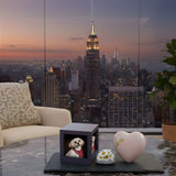Dog & Cat Cremation Cost in New York (2026): Prices, Options & What to Expect - Funeral.com, Inc.
