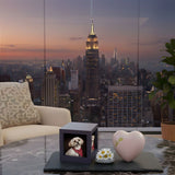 Dog & Cat Cremation Cost in New York (2026): Prices, Options & What to Expect