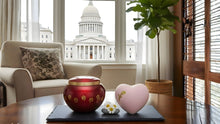 Dog & Cat Cremation Cost in Rhode Island (2026): Prices, Options & What to Expect - Funeral.com, Inc.