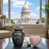 Dog & Cat Cremation Cost in South Carolina (2026): Prices, Options & What to Expect - Funeral.com, Inc.