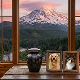 Dog & Cat Cremation Cost in Washington (2026): Prices, Options & What to Expect - Funeral.com, Inc.