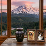 Dog & Cat Cremation Cost in Washington (2026): Prices, Options & What to Expect