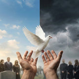 Dove Releases at Funerals: Animal Welfare Concerns, Ethics, and Better Alternatives - Funeral.com, Inc.