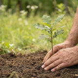 Eco-Friendly Burial Planning: Green Options, Materials, and Cemetery Rules to Know - Funeral.com, Inc.