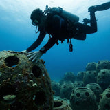 Eternal Reef Balls: Turning Ashes Into Coral Habitat (How Memorial Reefs Work)