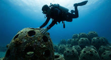 Eternal Reef Balls: Turning Ashes Into Coral Habitat (How Memorial Reefs Work)