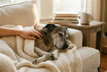 Euthanasia vs. Natural Death: Understanding Your Options - Funeral.com, Inc.