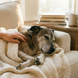 Euthanasia vs. Natural Death: Understanding Your Options