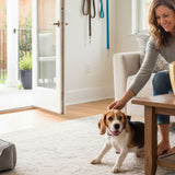 Feeling Guilty About Loving a New Pet After a Loss