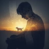 Financial Guilt: "If I Had More Money, Could I Have Saved Them?" - Funeral.com, Inc.