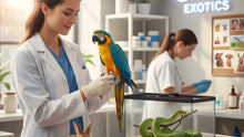 Finding an Exotic Veterinarian: How to Locate True Specialists for Birds, Reptiles, and Small Mammals - Funeral.com, Inc.
