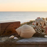 Fishing & Ocean-Themed Cremation Urns: Designs for Anglers, Sea Memorials, and Reef Options - Funeral.com, Inc.