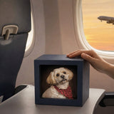 Flying With Cremated Remains: TSA Rules, Airline Tips, and Travel-Friendly Urns - Funeral.com, Inc.